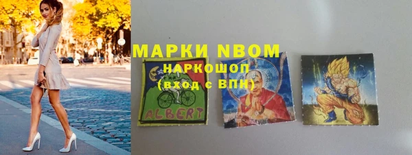 СК Новокубанск