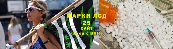 СК Новокубанск