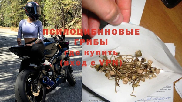 индика Нея