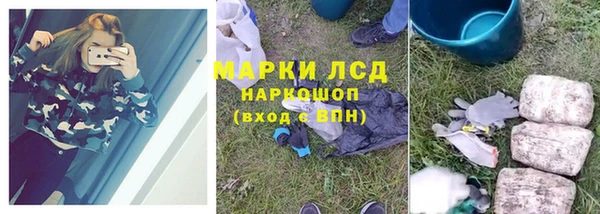 трава Новодвинск