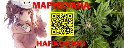 прущие грибы Апшеронск