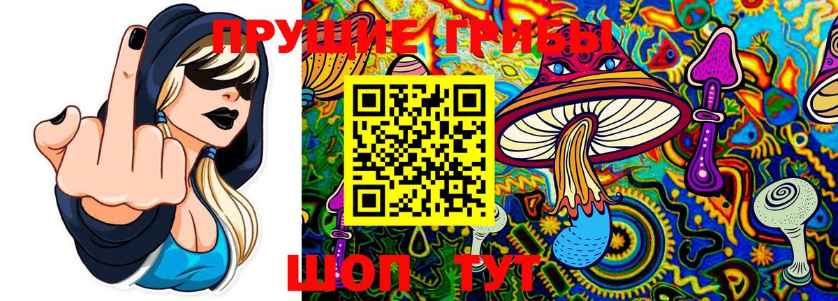 где купить наркоту  Галлюциногенные грибы Psilocybine cubensis  Вход с VPN  Челябинск 